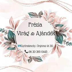 Frézia Virág & Ajándék