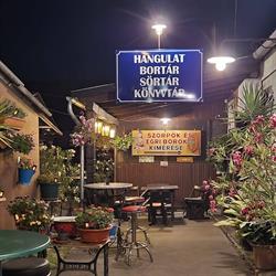 Hangulat Borozó
