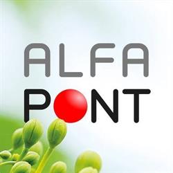 Alfapont Nyelvstúdió