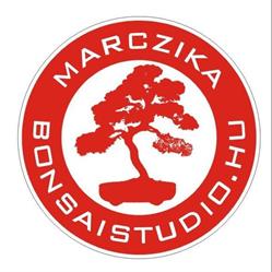 MarczikaBonsaiStudio
