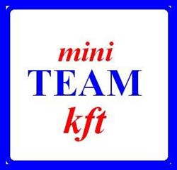 Mini Team