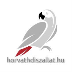 Horváth Díszállat kereskedés