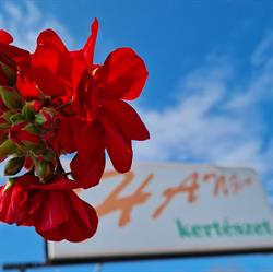 HANGA Kertészet