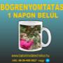 Bögre nyomtatás