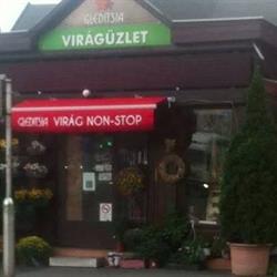 Gleditsia Nonstop Virágüzlet