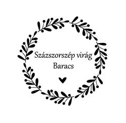 SZÁZSZORSZÉP VIRÁGBOLT