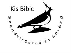 Kis Bibic