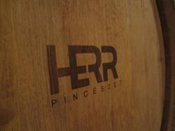 Herr Pince