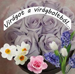 Irisz virágbolt