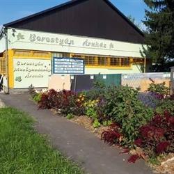 Borostyán Áruház