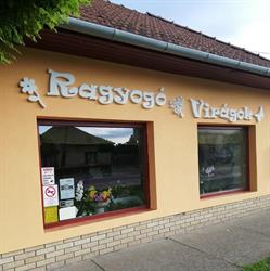 Ragyogó virágok