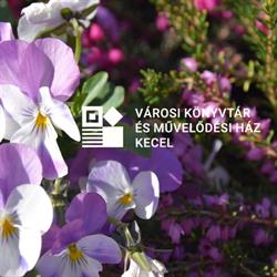 Városi Könyvtár és Művelődési Ház
