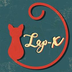 Lap-X Könyvesbolt