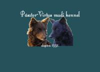 Pásztor-Virtus Mudi Kennel