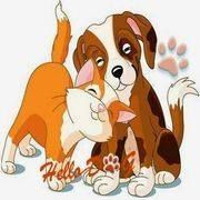 Hellodog