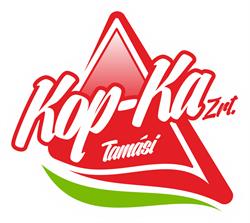 Ka Zrt