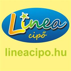 LINEA M KFT