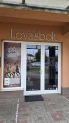 Graciosa Lovasbolt