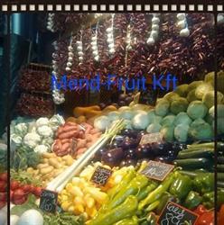 Mend-Fruit Kft.