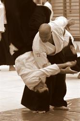 Tada Ima Aikido Dojo Önvédelmi Akadémia, Esztergom