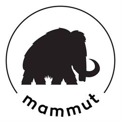 Budai Endokrinközpont - Mammut II.