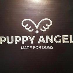 Puppy Angel Hungary