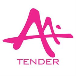 AAI Tender Tanácsadó és Szolgáltató Kft