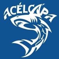 Robbita Kereskedelmi és Szolgáltató Kft.