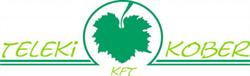 Teleki- Kober Kft.
