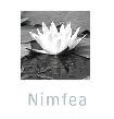 Nimfea Természetvédelmi Egyesület