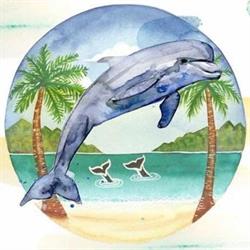 Delfin Játékbolt
