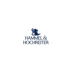 Hammel & Hochreiter