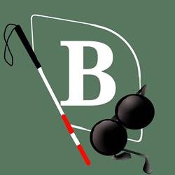 Vakok és Gyengénlátók Bács-Kiskun Megyei Egyesülete