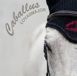 Caballus Lovasmajor
