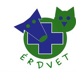 Dávid Zoltán Állatorvosi Rendelője