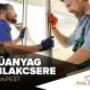 panel ablakcsere Budapest