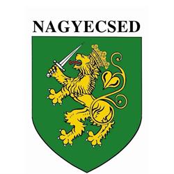 Nagyecsed Város