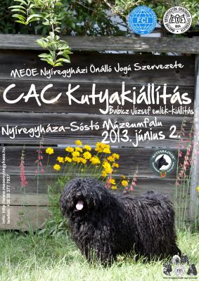 CAC-2013-Nyíregyháza