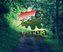 VERGA Veszprémi Erdőgazdaság Zrt