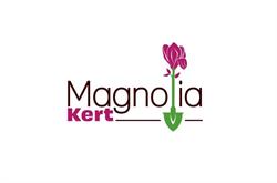 Magnolia Kert