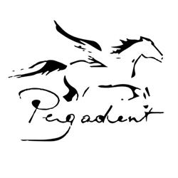 Pegadent Bt