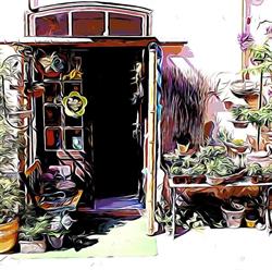 Virágüzlet - Totó Virágboltja - Toto's Flower Shop