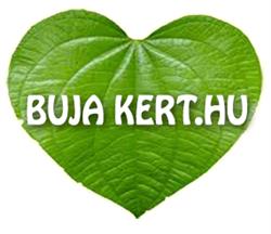 Buja kert
