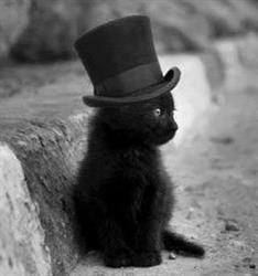 Black Cat Restaurant and Pension