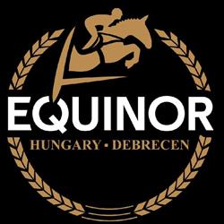 Equinor Lovasudvar