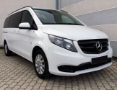 Mercedes2