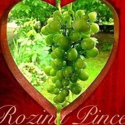Rozina Pince