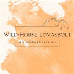 Wild Horse Lovasbolt