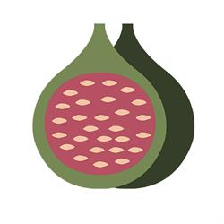 Füge wellness Vendégház
