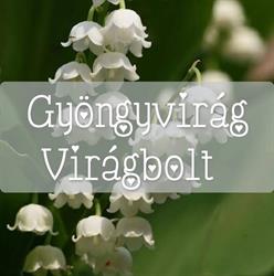 Gyöngyvirág Virágbolt